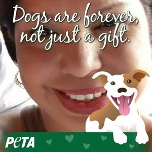 Meet your Posher, Marlene